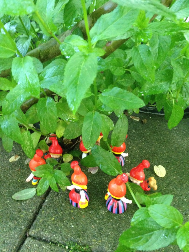 Karen K nisser mynte 3