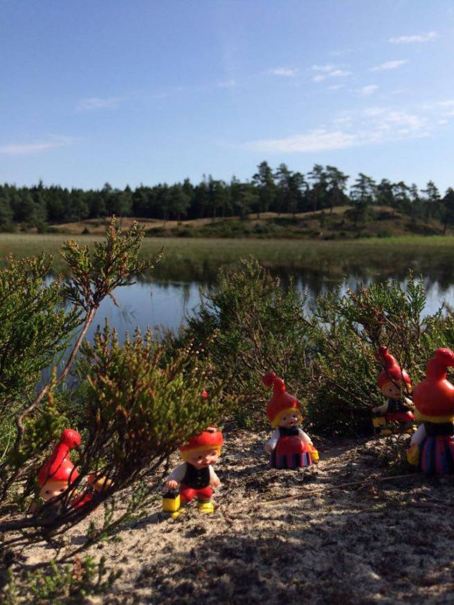 13814516_10210205504044185_1210137825_n