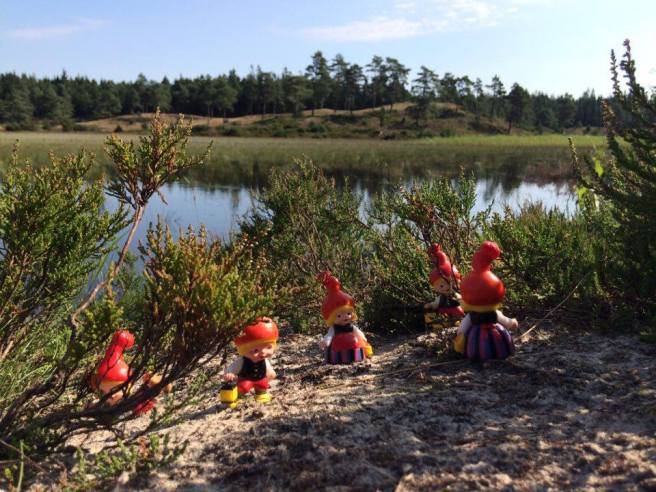 13815190_10210205503484171_1203111830_n