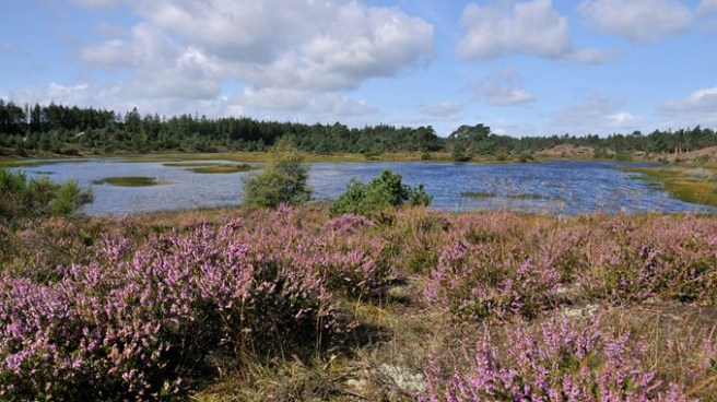 Syvårssøerne naturstyrelsen