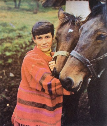 Karen Kjærsgaard heste