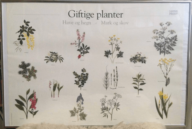 Skærmbillede 2016-08-27 kl. 09.23.14