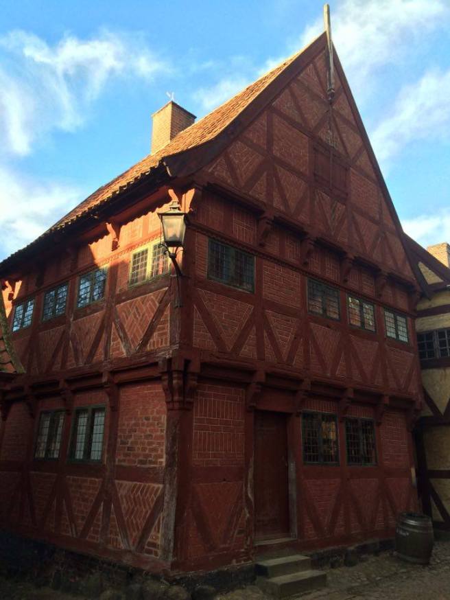 15209185_10211457162974876_1839313261_n