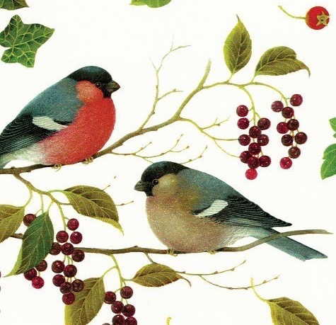 dompap han og hun Karen K (1).jpg