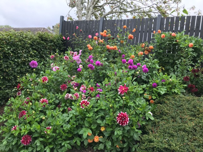 71491002_434451737177823_6135905306879721472_n