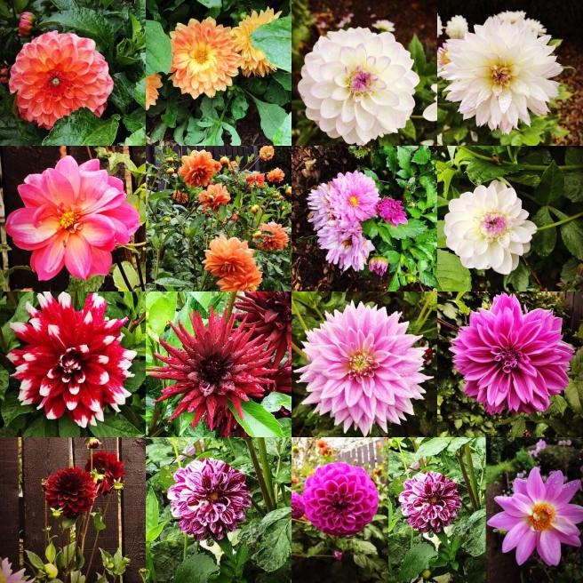 71958788_716415095492877_2846712574420975616_n